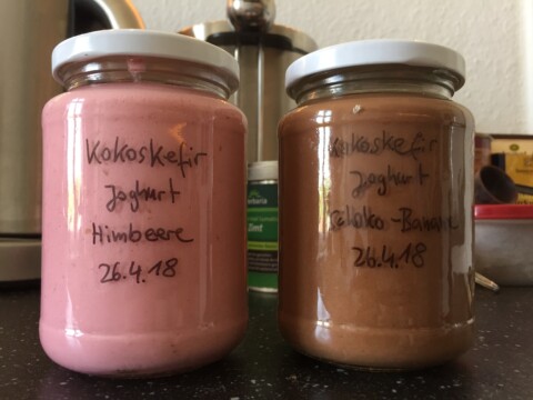 Kokoskefir Joghurt