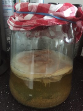 Scoby-Hotel