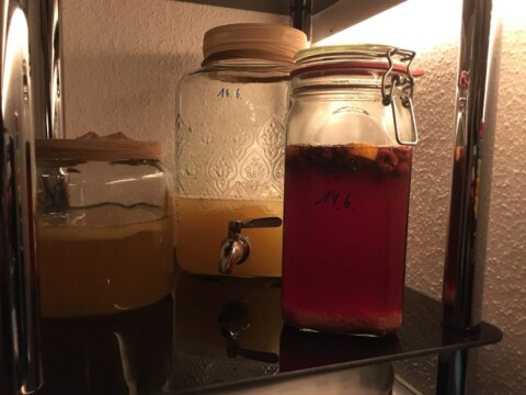 Jun-Kombucha, Scoby Hotel und Wasserkefir